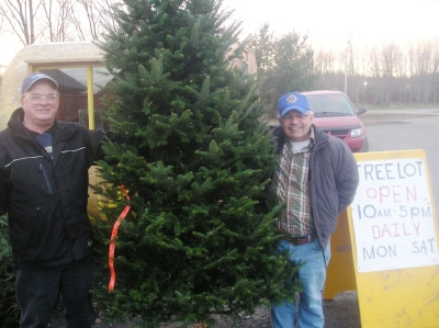 Lion Allan & Lion Bucky Christmas Tree Project 2010